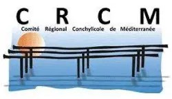 logo-crcm